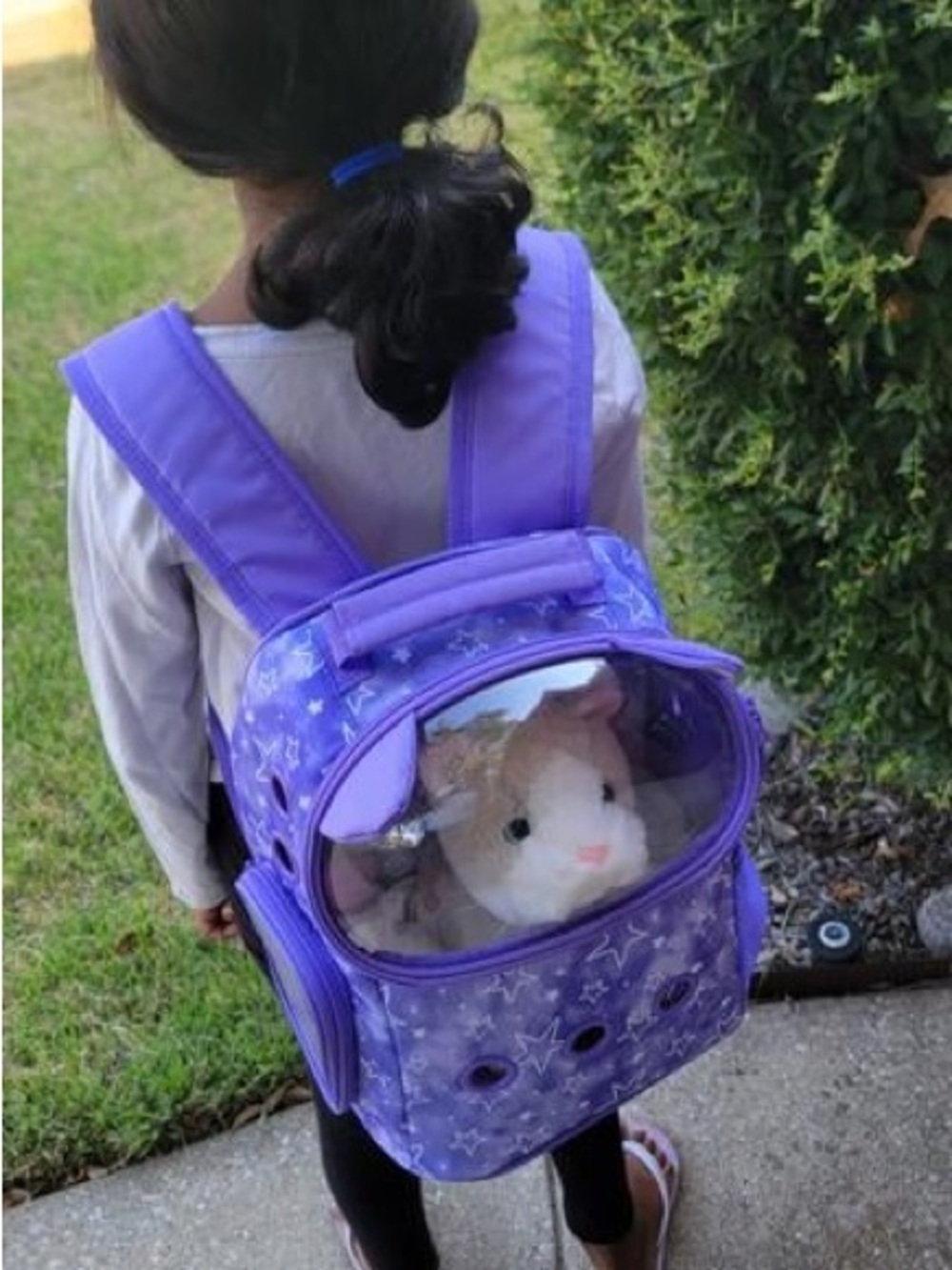 2 Pet Carrier Backpacks with Clear Bubble Windows w/accessories